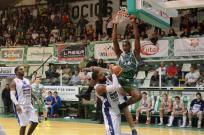 Volvi la magia verde