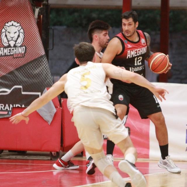 Leones de sbado