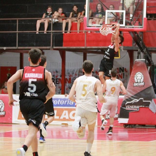 Leones de sbado